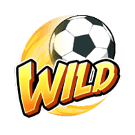 สัญลักษณ์ Wild รูปฟุตบอล